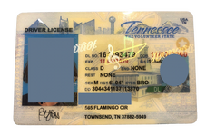 image2(1).png